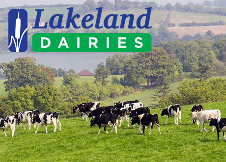 Responsive Website Developed for Lakeland Dairies